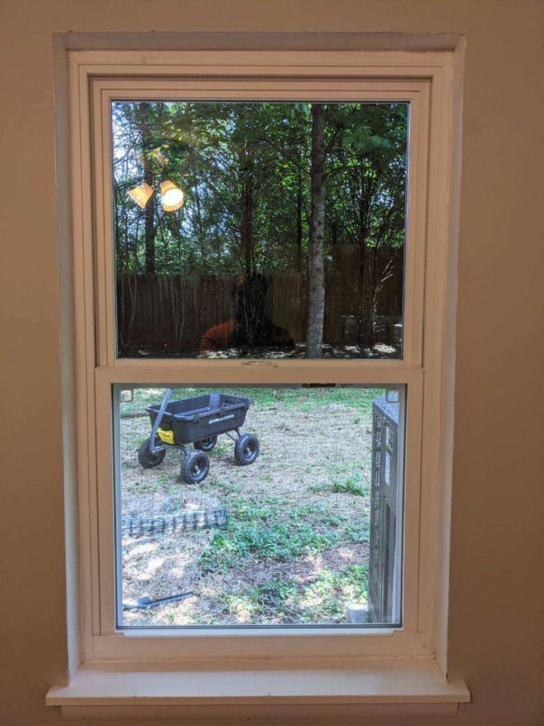 202407056_1409440942768319_4789426880328435553_n